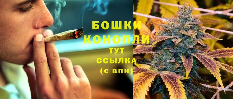 Каннабис Bruce Banner  Великий Устюг 